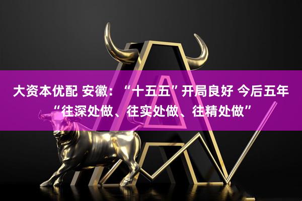 大资本优配 安徽:“十五五”开局良好 今后五年“往深处做、往实处做、往精处做”